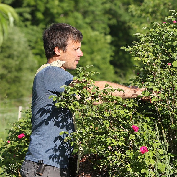 Julien_profil