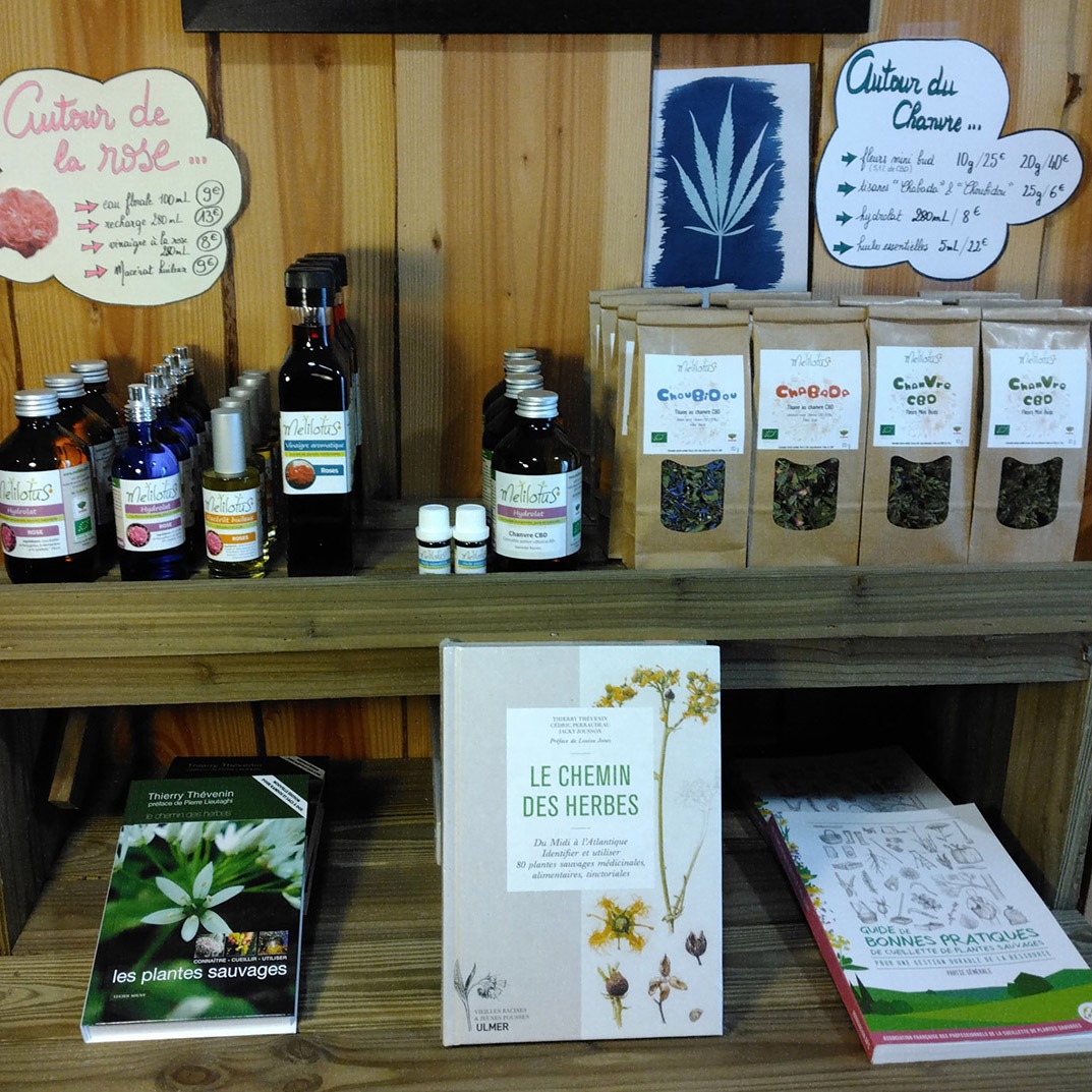 PRESENTOIR ROSE CBD