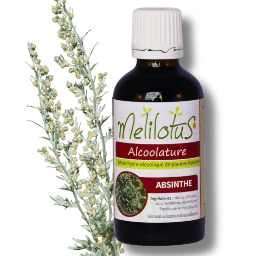 Alcoolature Absinthe