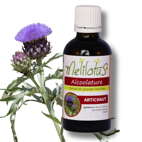 Alcoolature Artichaut