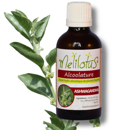 Alcoolature Ashwagandha - flacon de 60mL