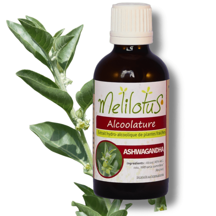 Alcoolature Ashwagandha
