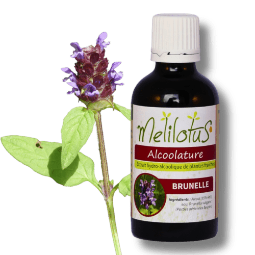 Alcoolature Brunelle