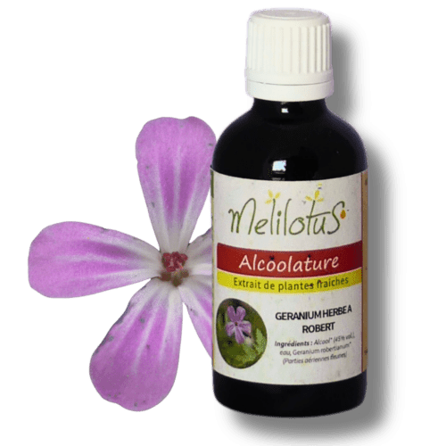 Alcoolature Géranium Herbe-à-Robert