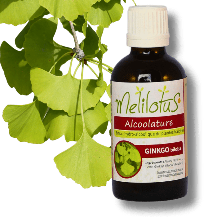 Alcoolature Ginkgo