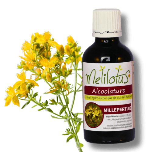 Alcoolature Millepertuis