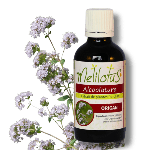 Alcoolature Origan