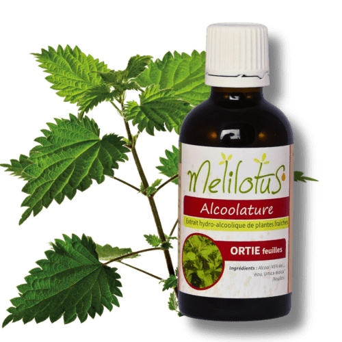 Alcoolature Ortie (feuilles)