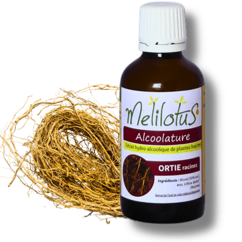 Alcoolature Ortie (racines)