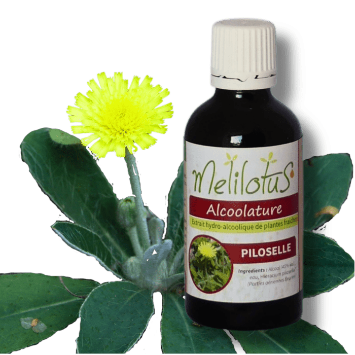 Alcoolature Piloselle