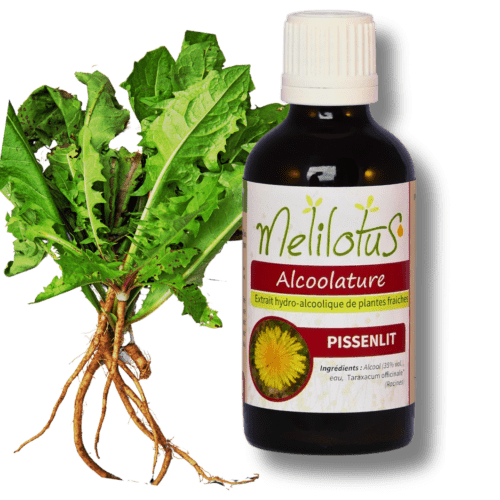 Alcoolature Pissenlit - flacon de 60mL