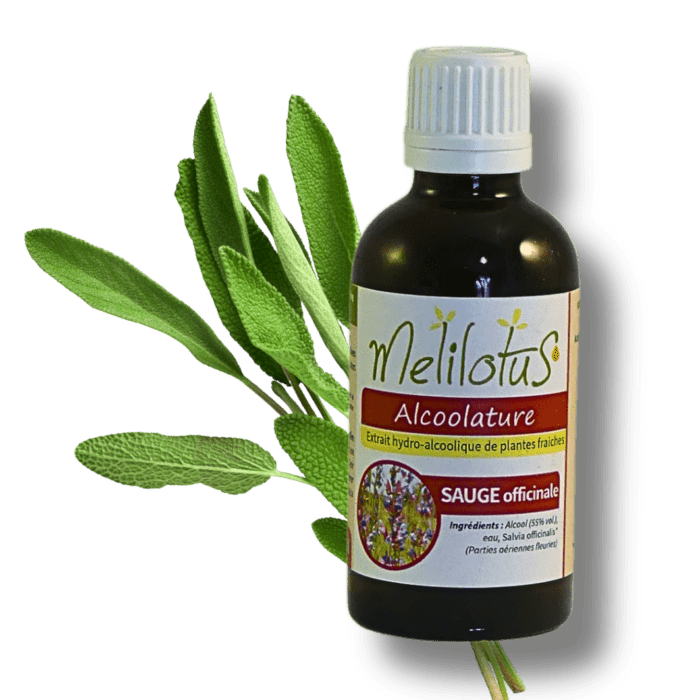 Alcoolature Sauge officinale