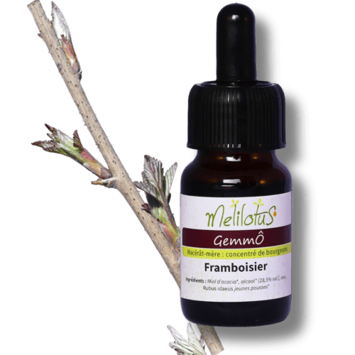 GemmÔ Framboisier