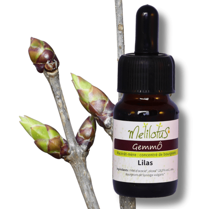 GemmÔ Lilas