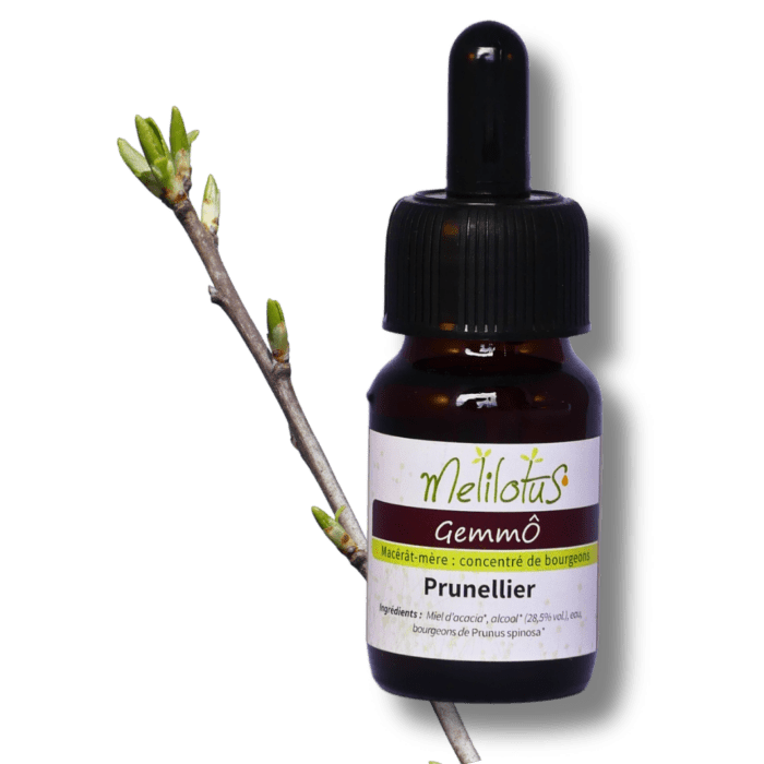 GemmÔ Prunellier
