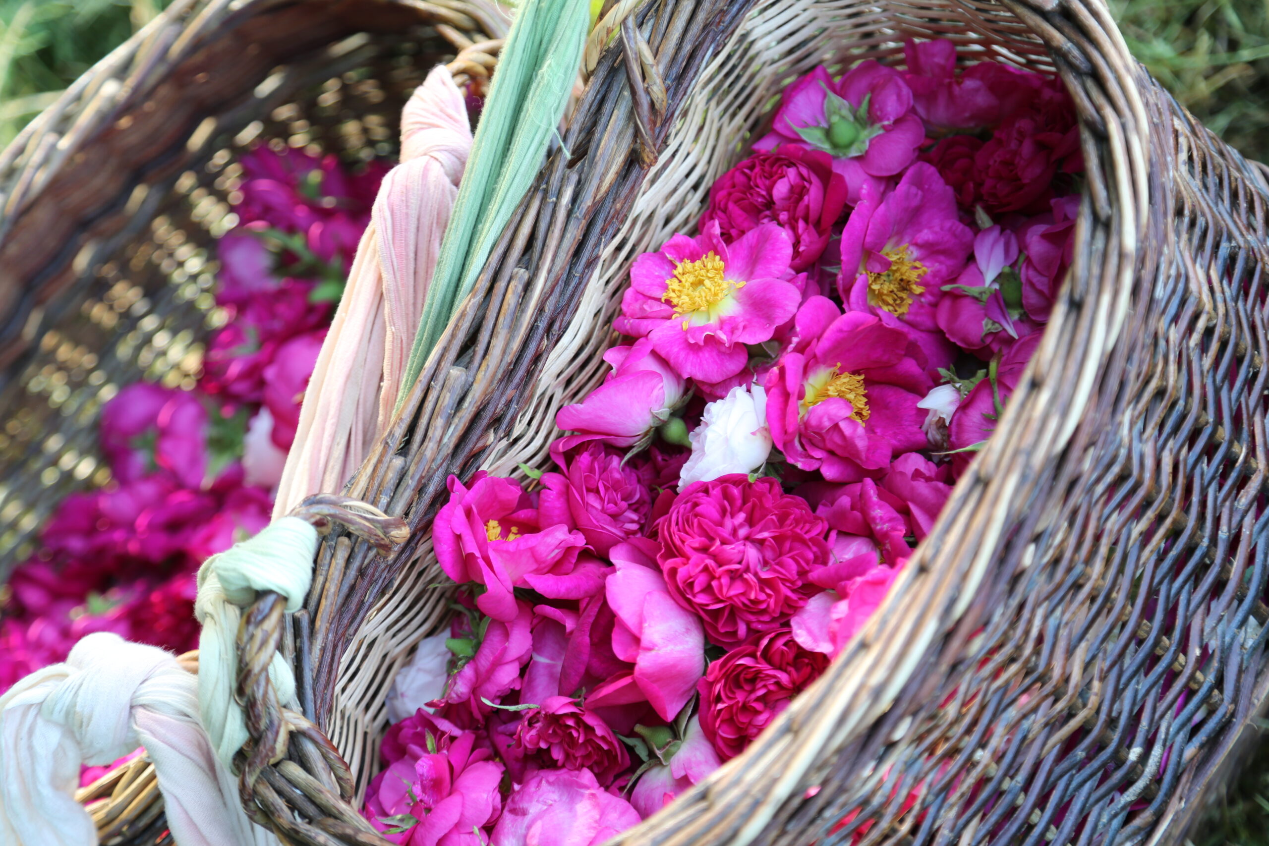 Paniers roses