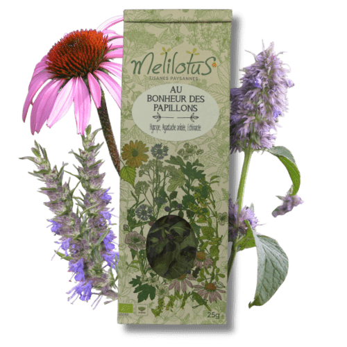 Tisane Au bonheur des papillons