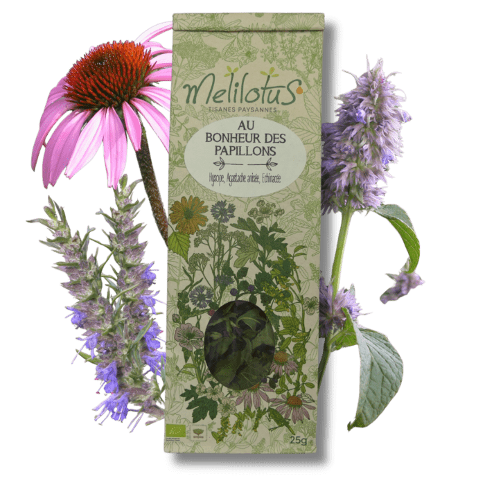 Tisane Au bonheur des papillons