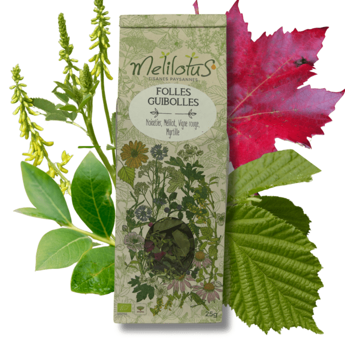 Tisane Folles guibolles