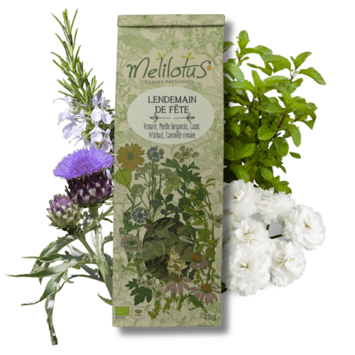 Tisane Lendemain de fête