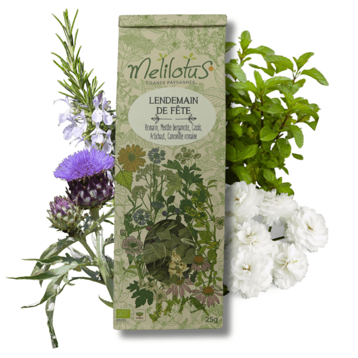 Tisane Lendemain de fête