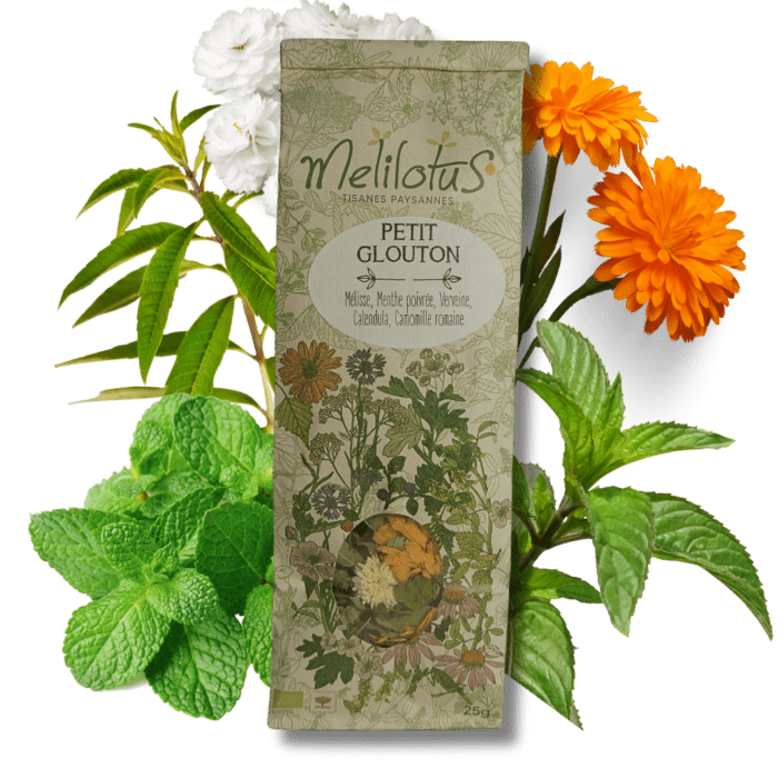 Tisane Petit glouton
