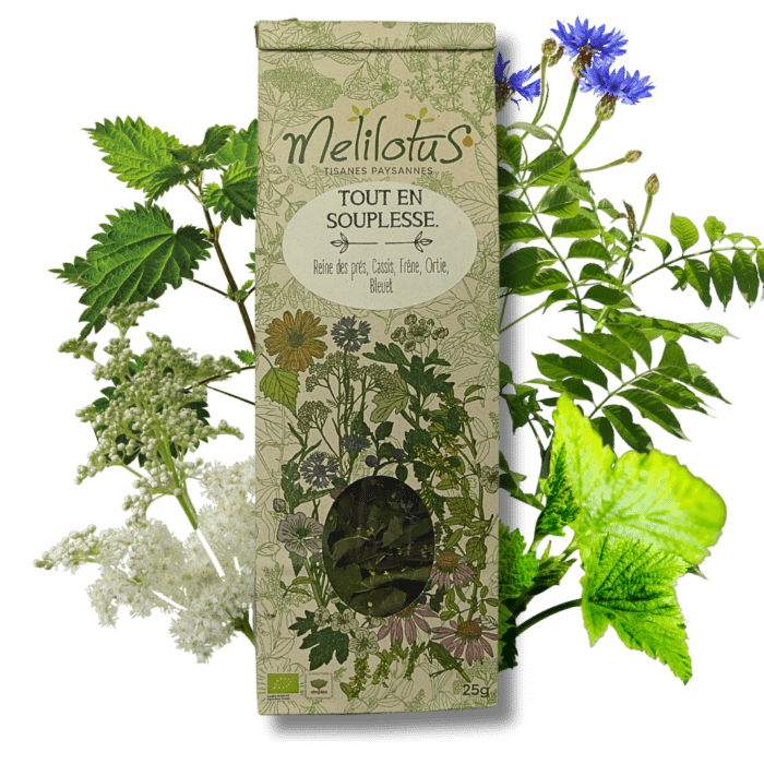 Tisane Tout en souplesse