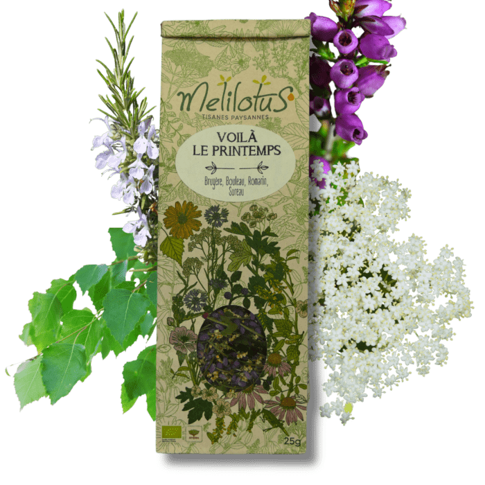 Tisane Voilà le printemps