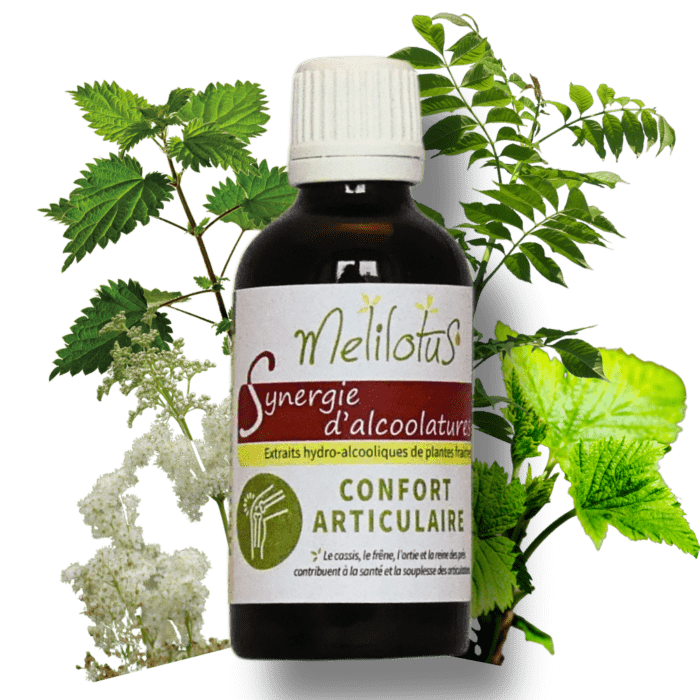 Alcoolature Synergie Confort articulaire