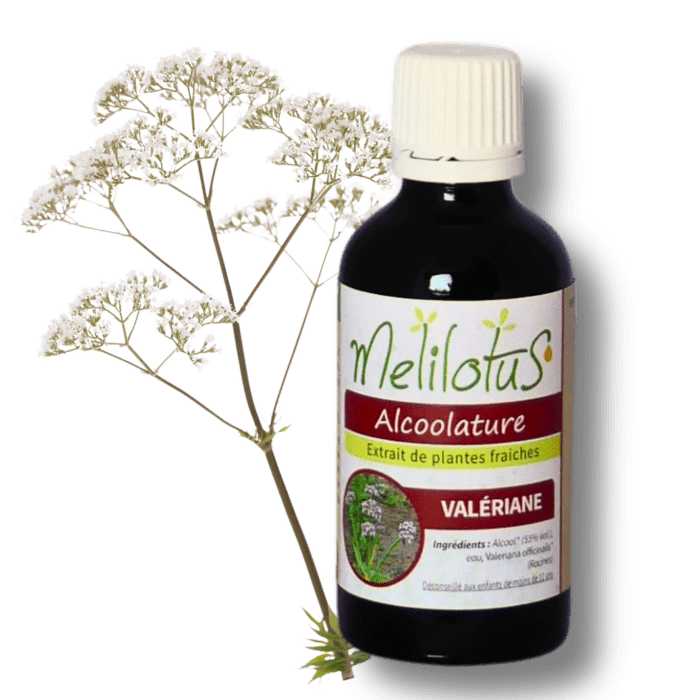 Alcoolature Valériane officinale