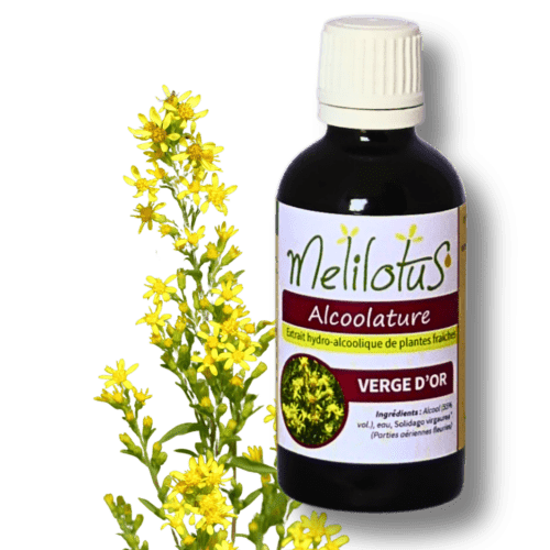 Alcoolature Verge d'or