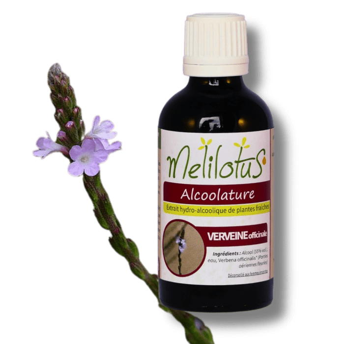 Alcoolature Verveine officinale