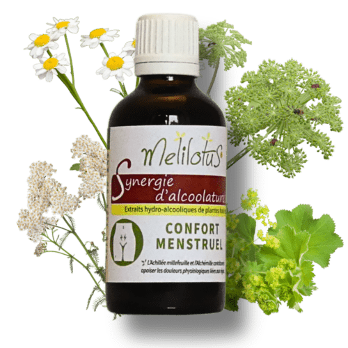 Alcoolature Synergie Confort menstruel