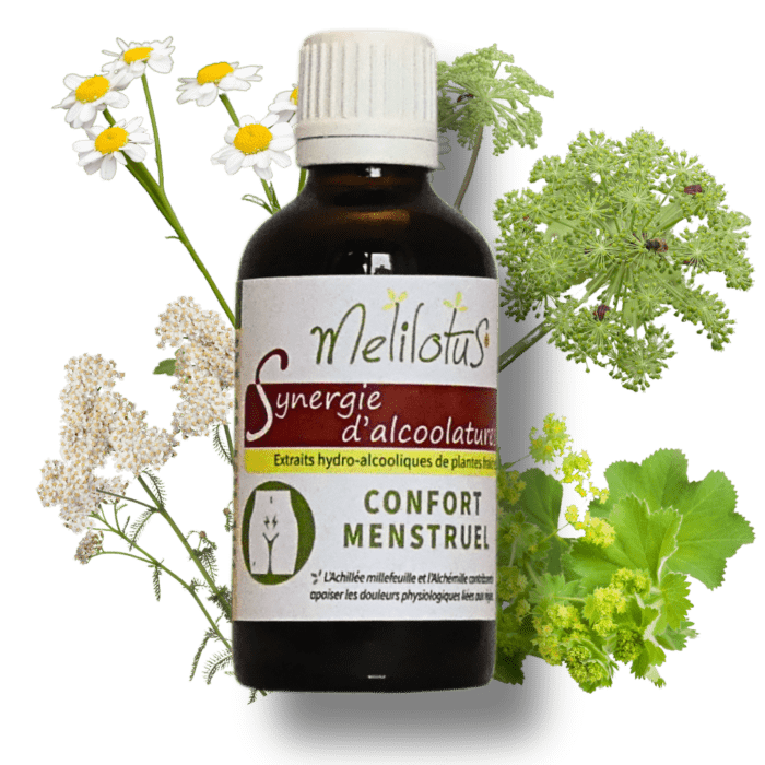 Alcoolature Synergie Confort menstruel