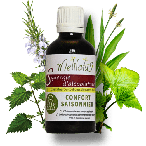 Alcoolature Synergie Confort saisonnier