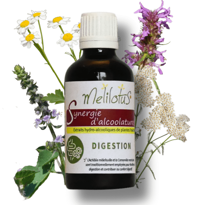 Alcoolature Synergie Digestion