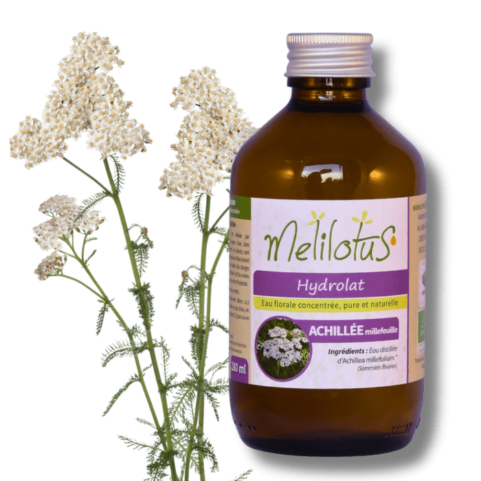 Hydrolat Achillée millefeuille