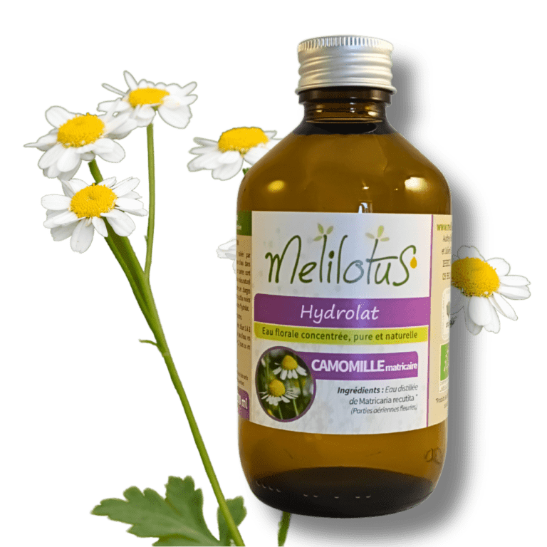 Hydrolat de Camomille allemande matricaire main image 0