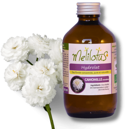 Hydrolat Camomille romaine - flacon brun de 280mL