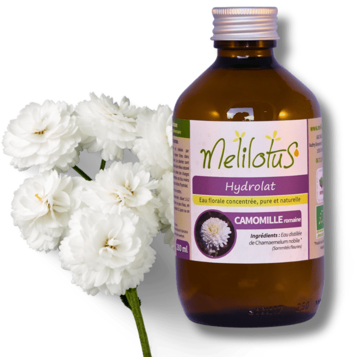 Hydrolat Camomille romaine