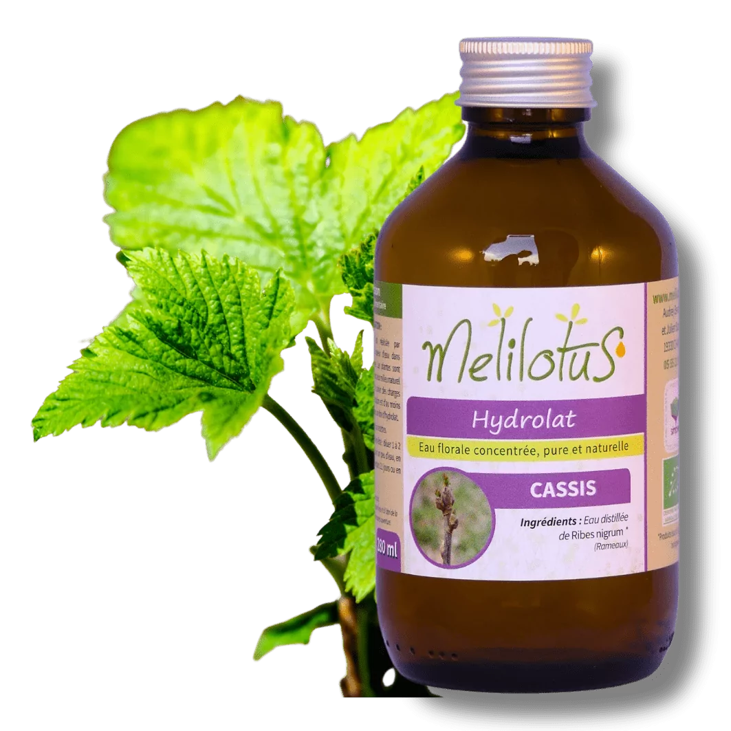 Hydrolats – Melilotus – Paysans-Heboristes