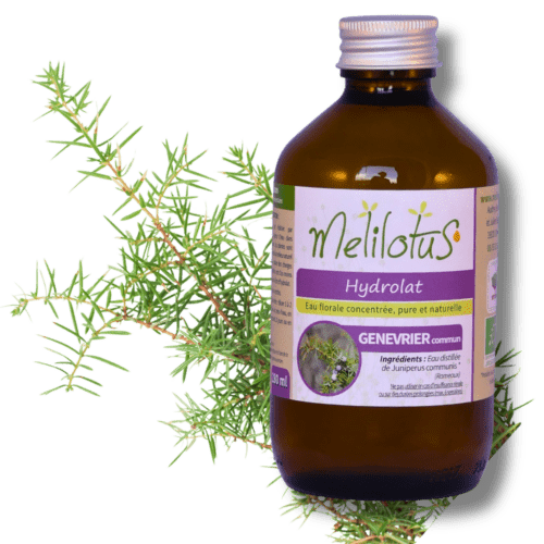 Hydrolat Genévrier