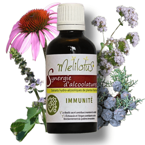 Alcoolature Synergie Immunité