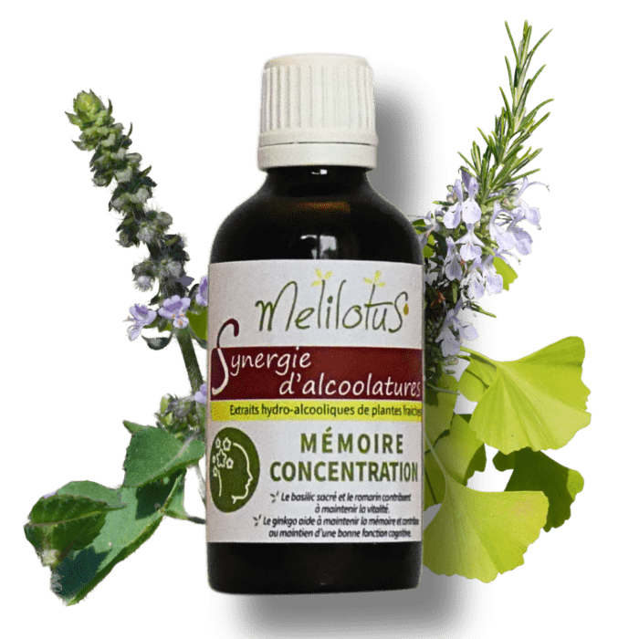 Alcoolature Synergie Mémoire Concentration