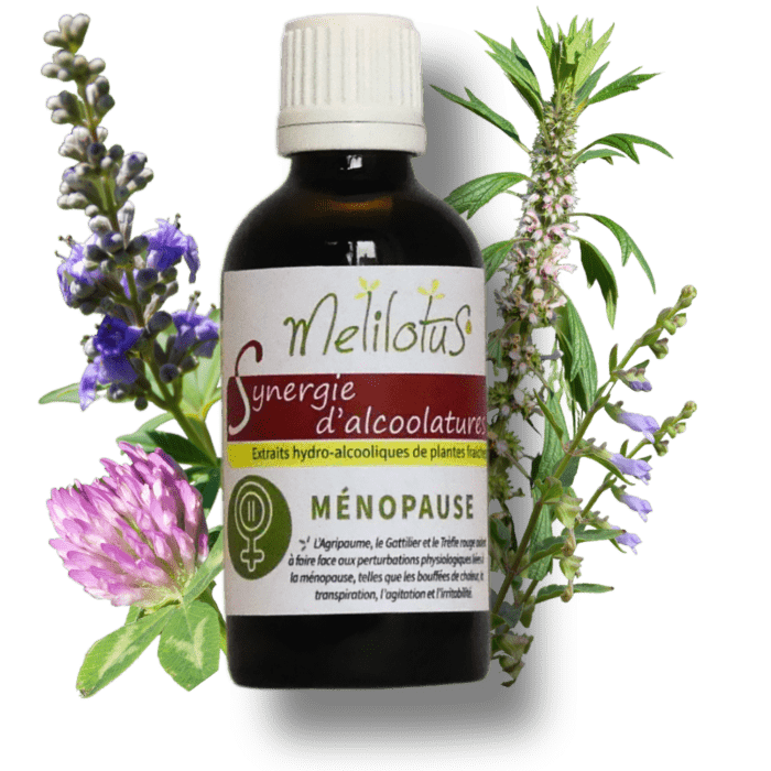 Alcoolature Synergie Ménopause