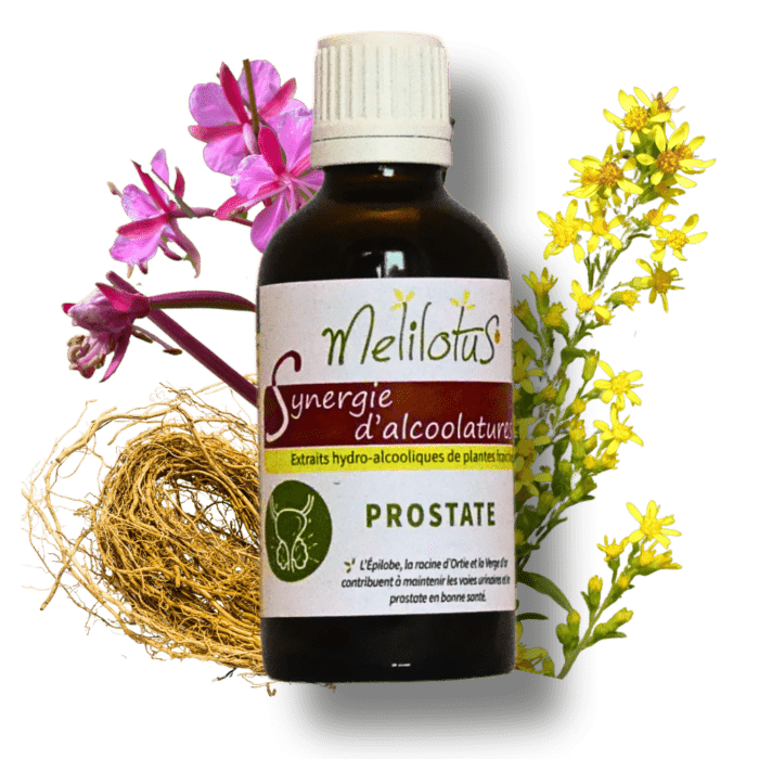 Alcoolature Synergie Prostate