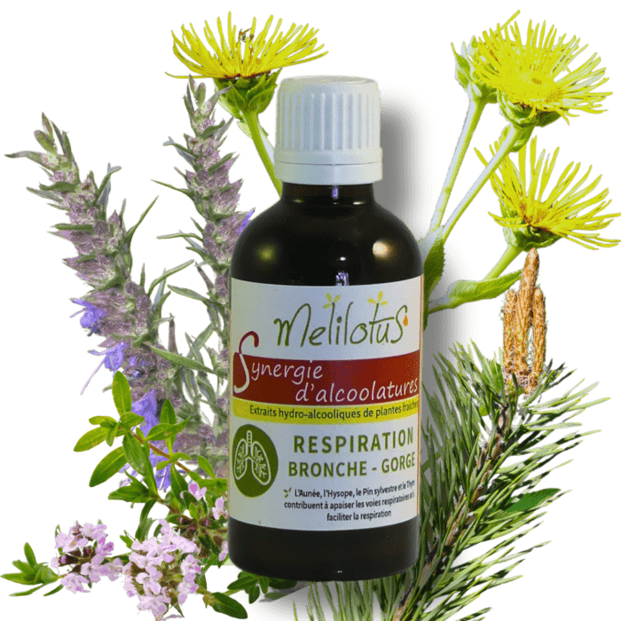 Alcoolature Synergie Respiration - Bronches