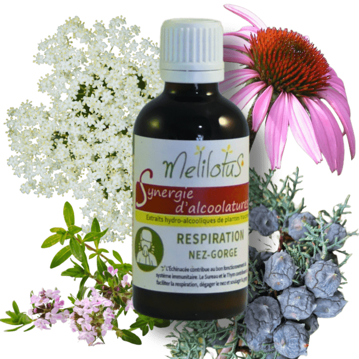 Alcoolature Synergie Respiration - Nez