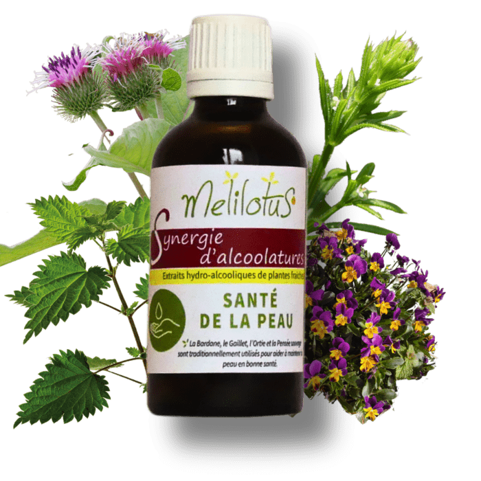 Alcoolature Synergie Santé de la peau