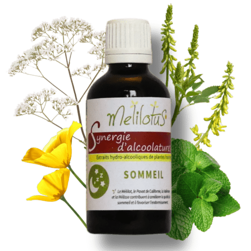 Alcoolature Synergie Sommeil